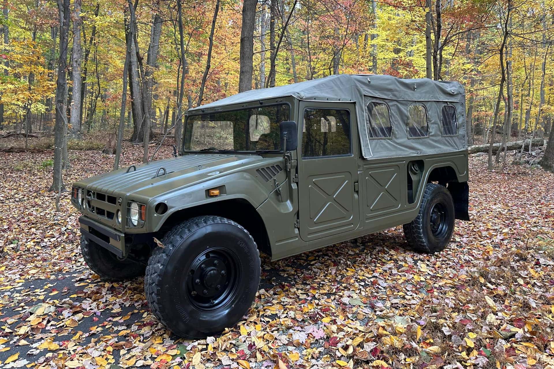 1996 Toyota Mega Cruiser sold for $29,250