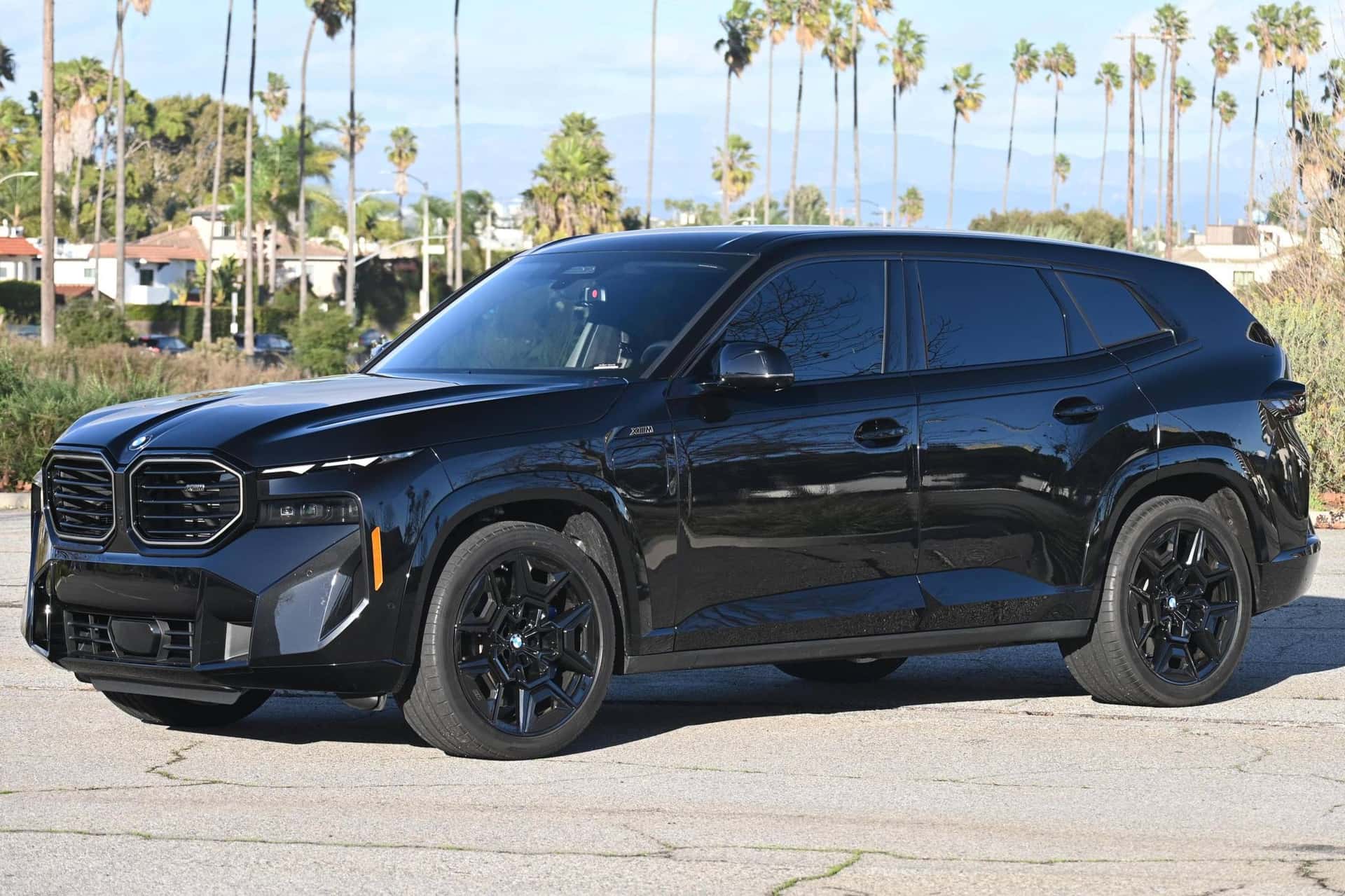 2023 BMW XM sold for $87,501