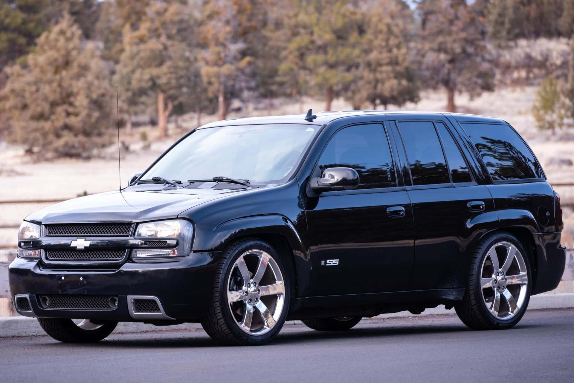 2007 Chevrolet Trailblazer sold for $10,300