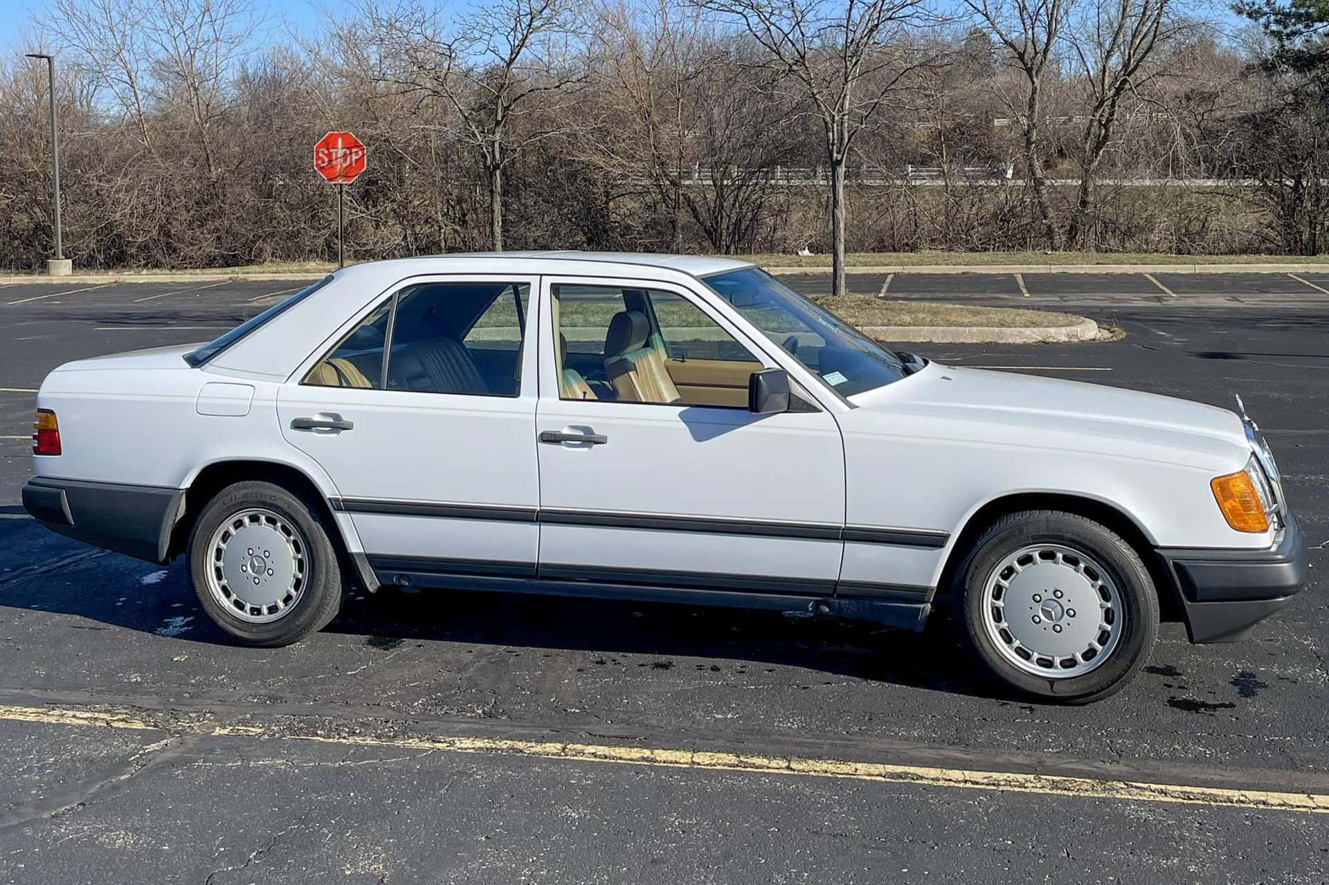 1988 Mercedes-Benz E-Class sold for $6,600