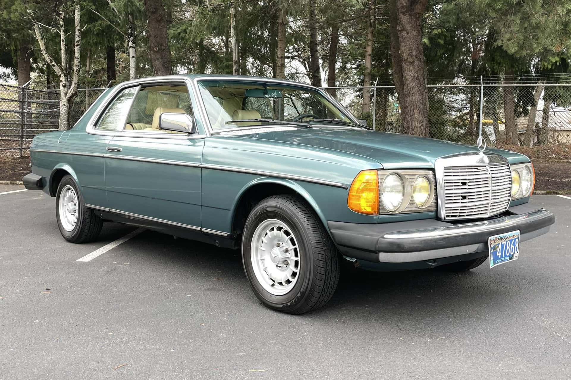 1982 Mercedes-Benz E-Class sold for $4,750