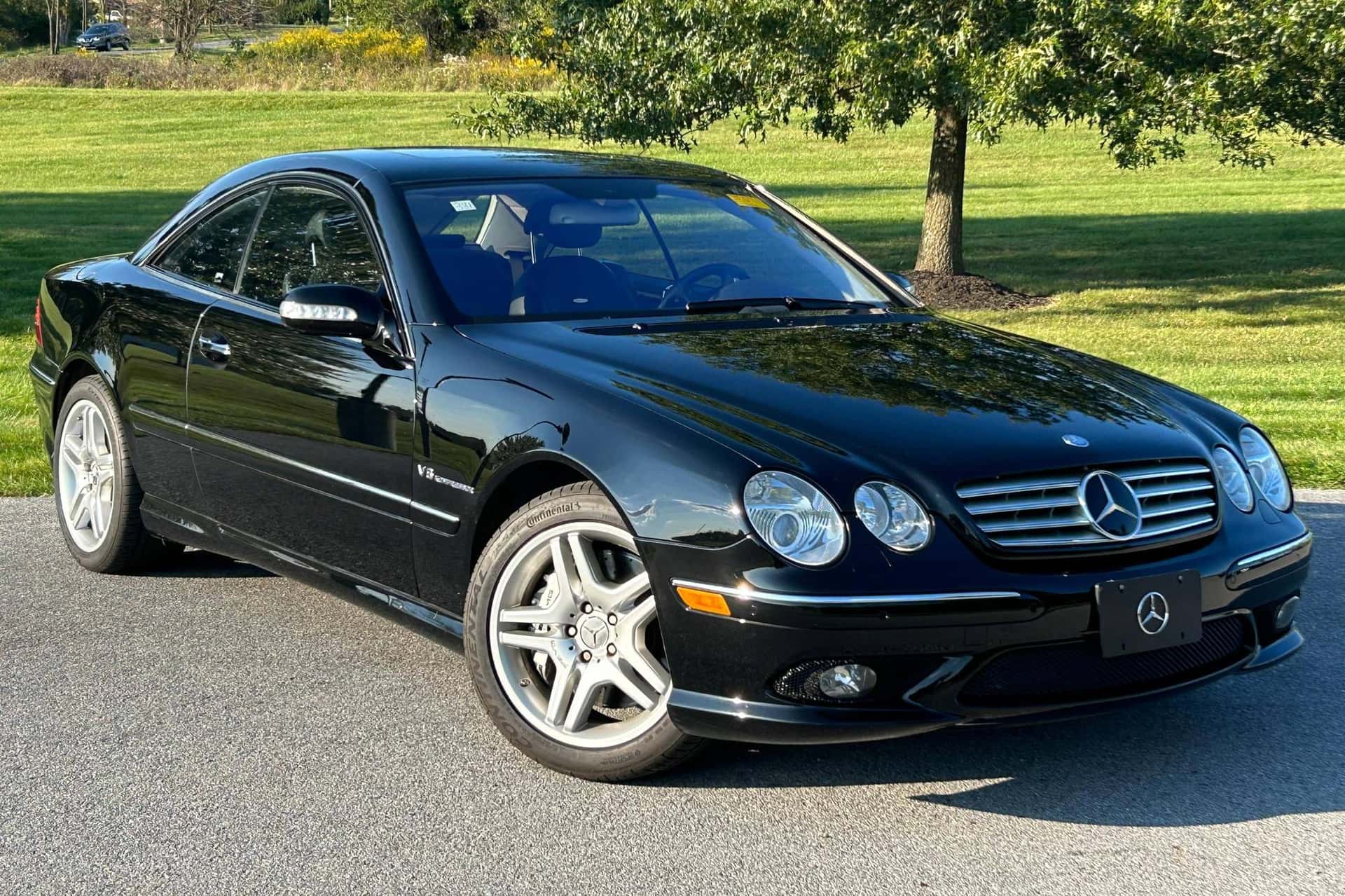 2004 Mercedes-Benz CL AMG sold for $30,250