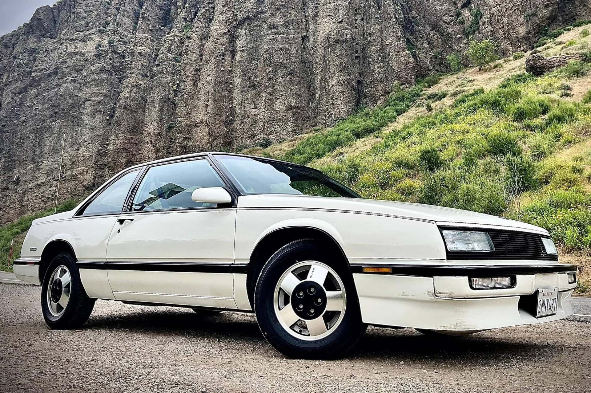 1989 Buick LeSabre sold for $6,100