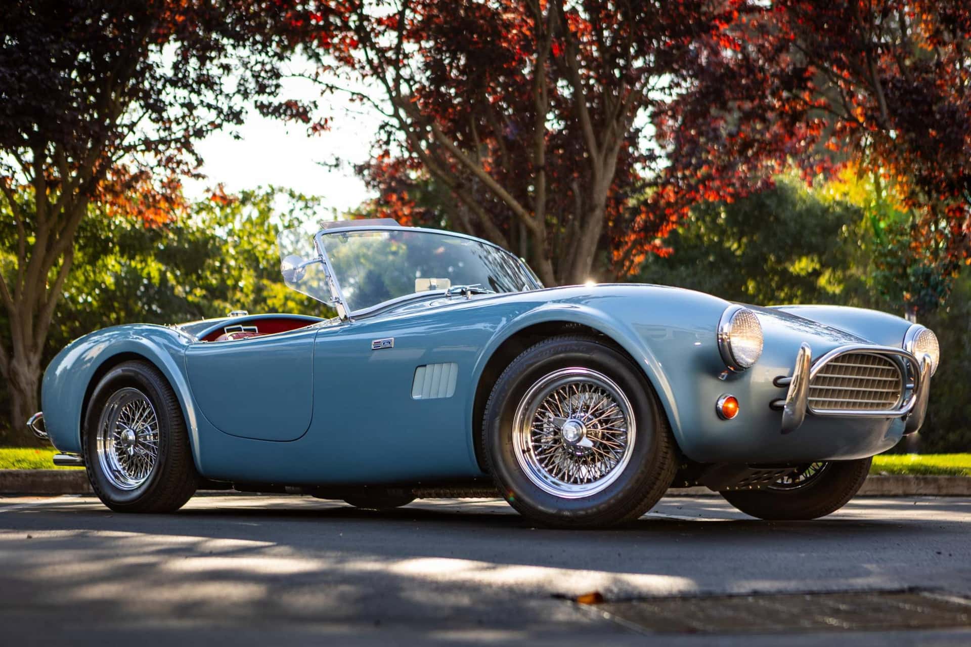 2016 Shelby Cobra sold for $80,000