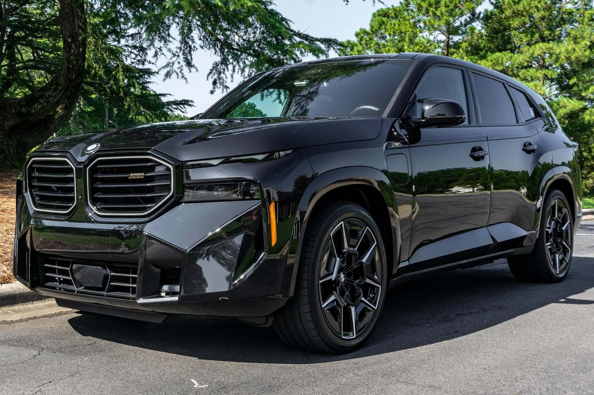 2023 BMW XM sold for $125,550