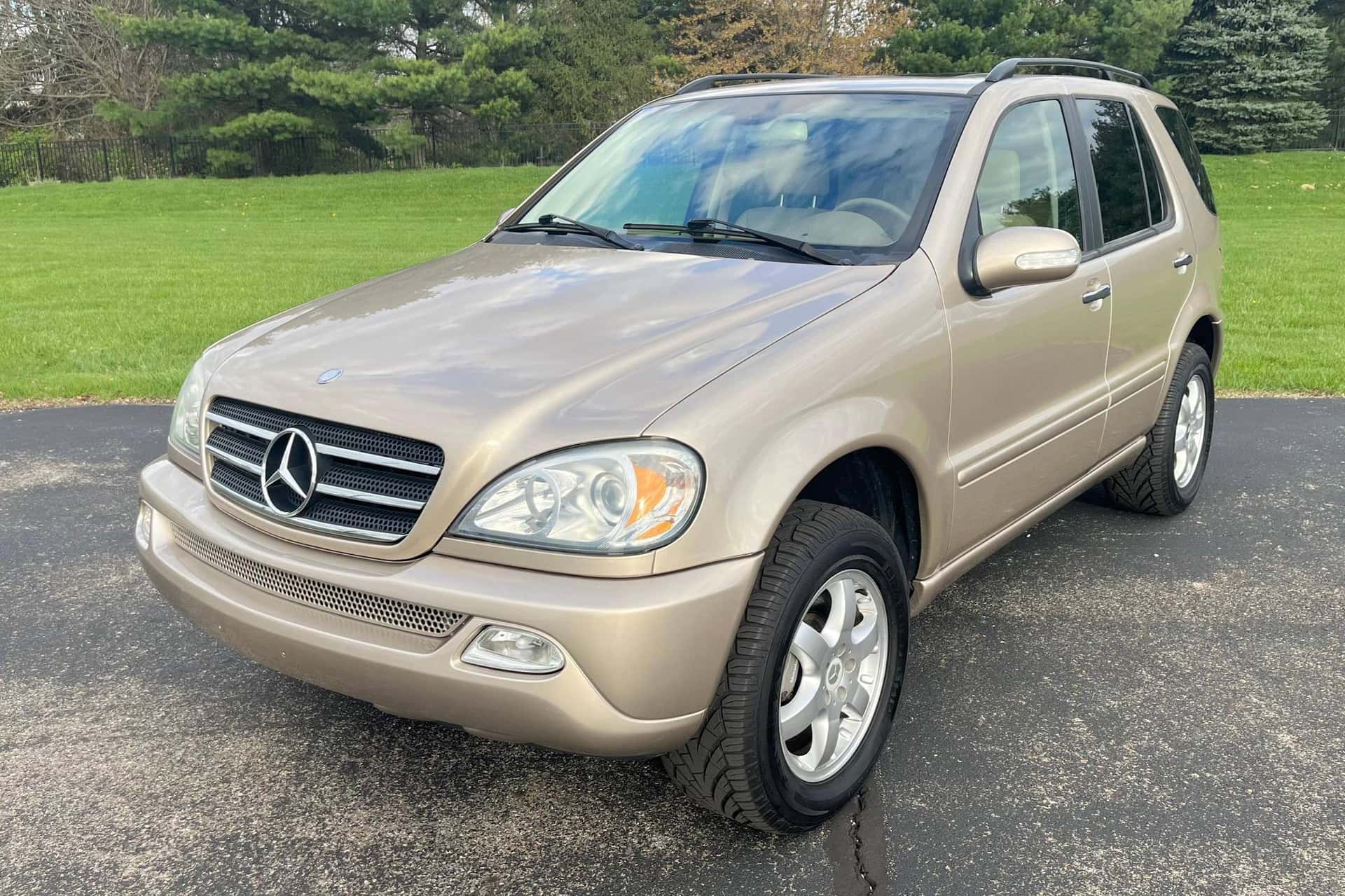 2003 Mercedes-Benz ML-Class sold for $8,000