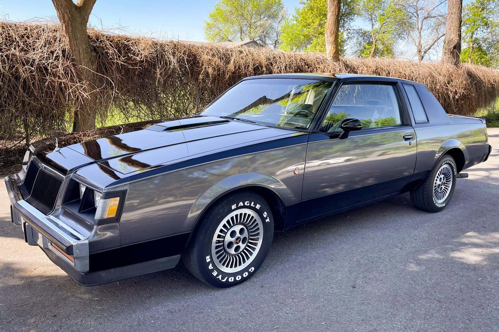 1984 Buick Regal sold for $7,900