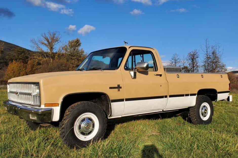 1982 Chevrolet C/K (1973-1991) sold for $10,000