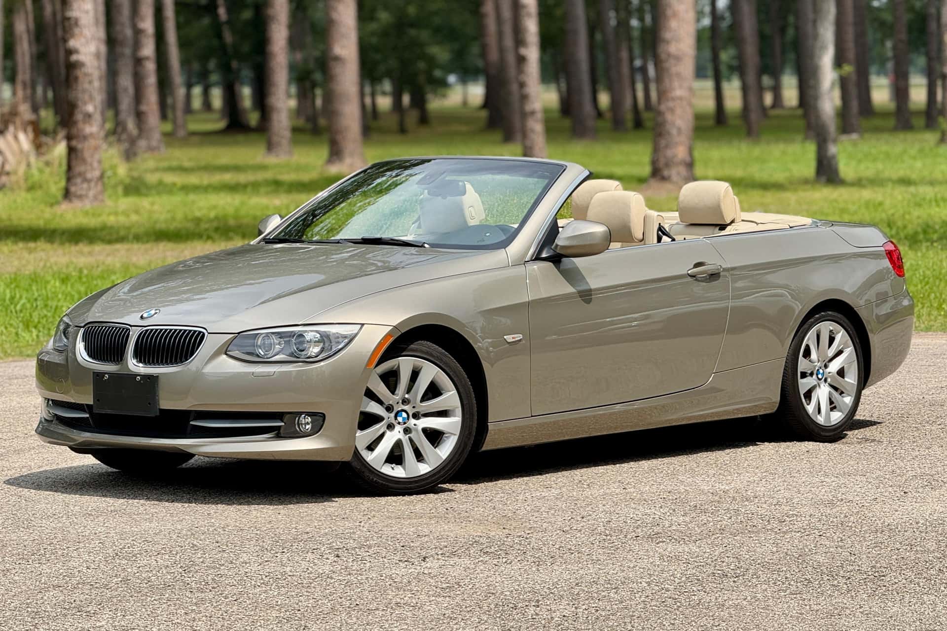 2011 BMW 3 Series sold for $3,900