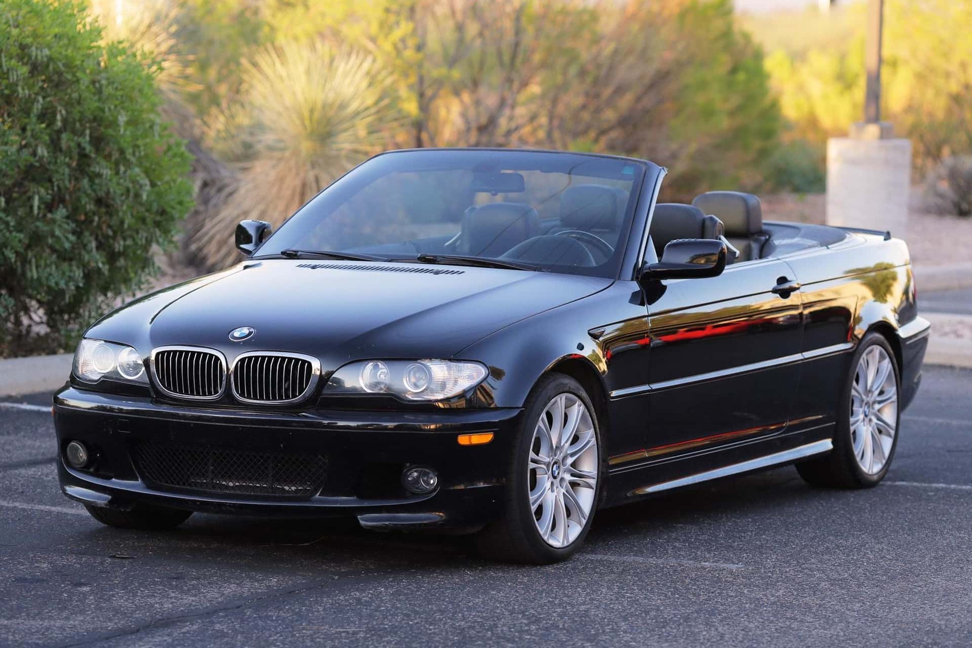 2004 BMW 3 Series sold for $6,250