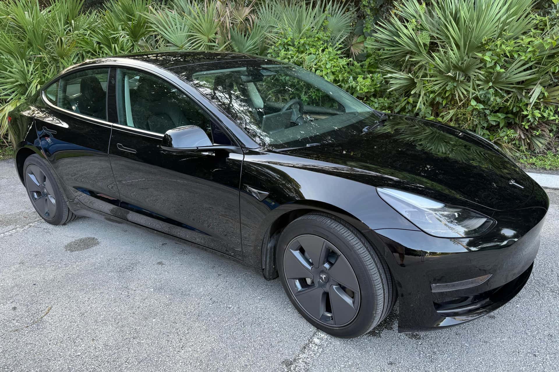 2023 Tesla Model 3 sold for $20,300