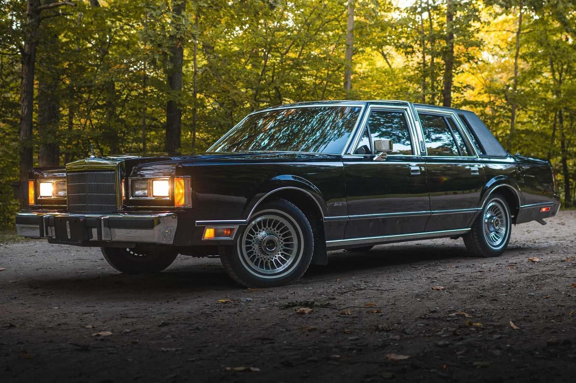 1988 Lincoln Town Car sold for $8,325