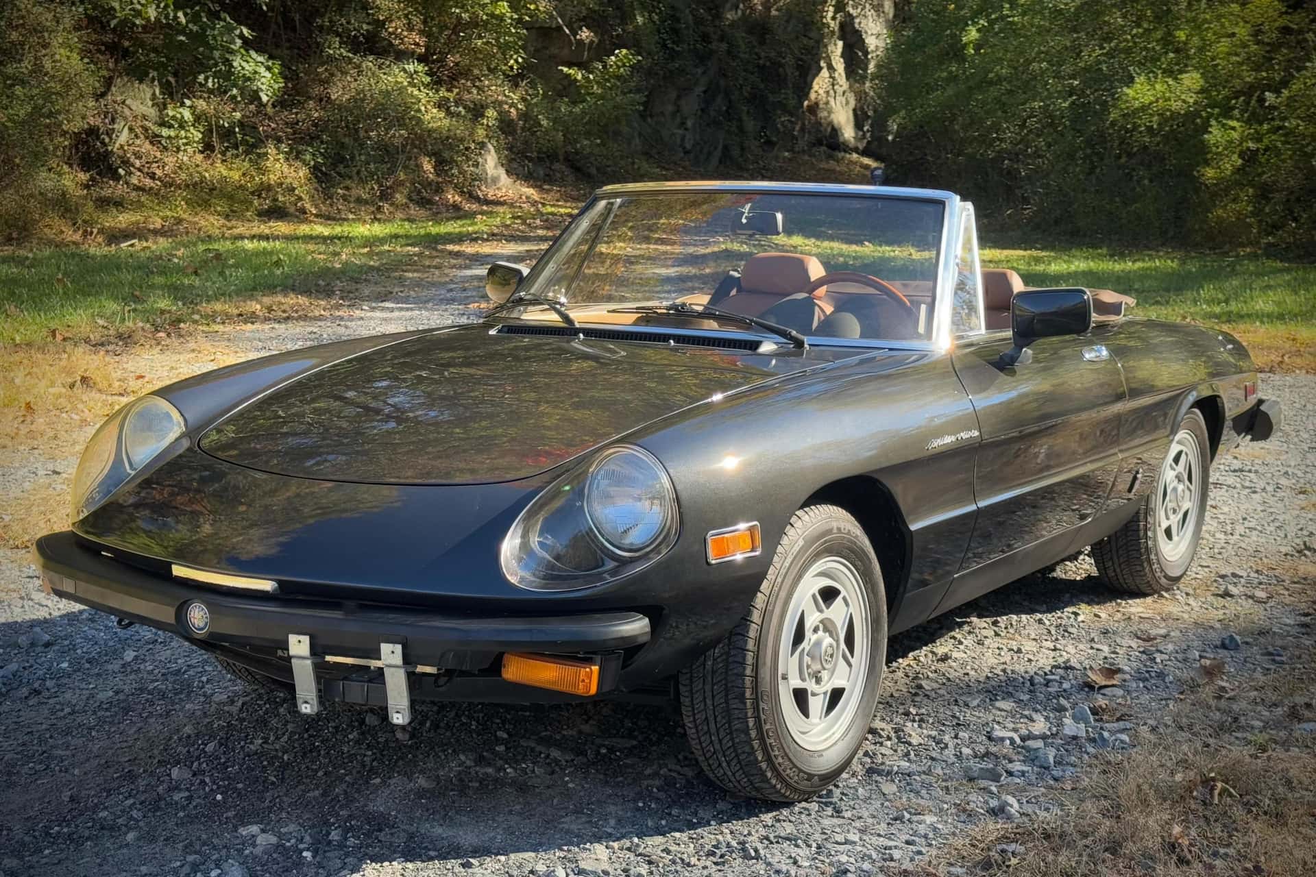 1982 Alfa Romeo Spider sold for $4,350