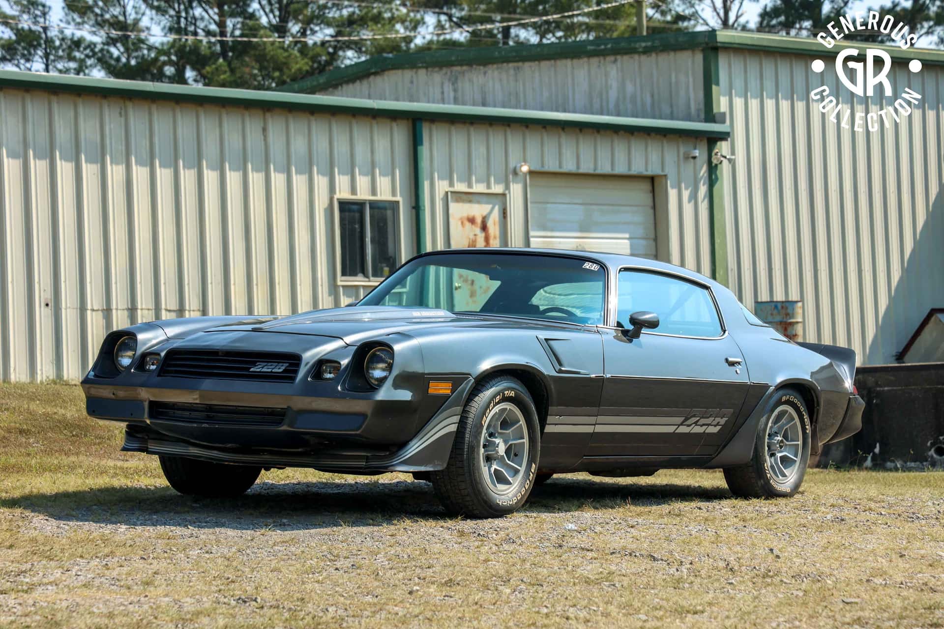 1981 Chevrolet Camaro sold for $15,000