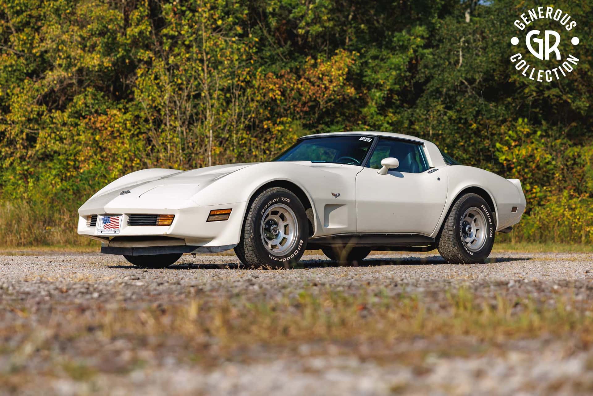 1980 Chevrolet Corvette sold for $9,500