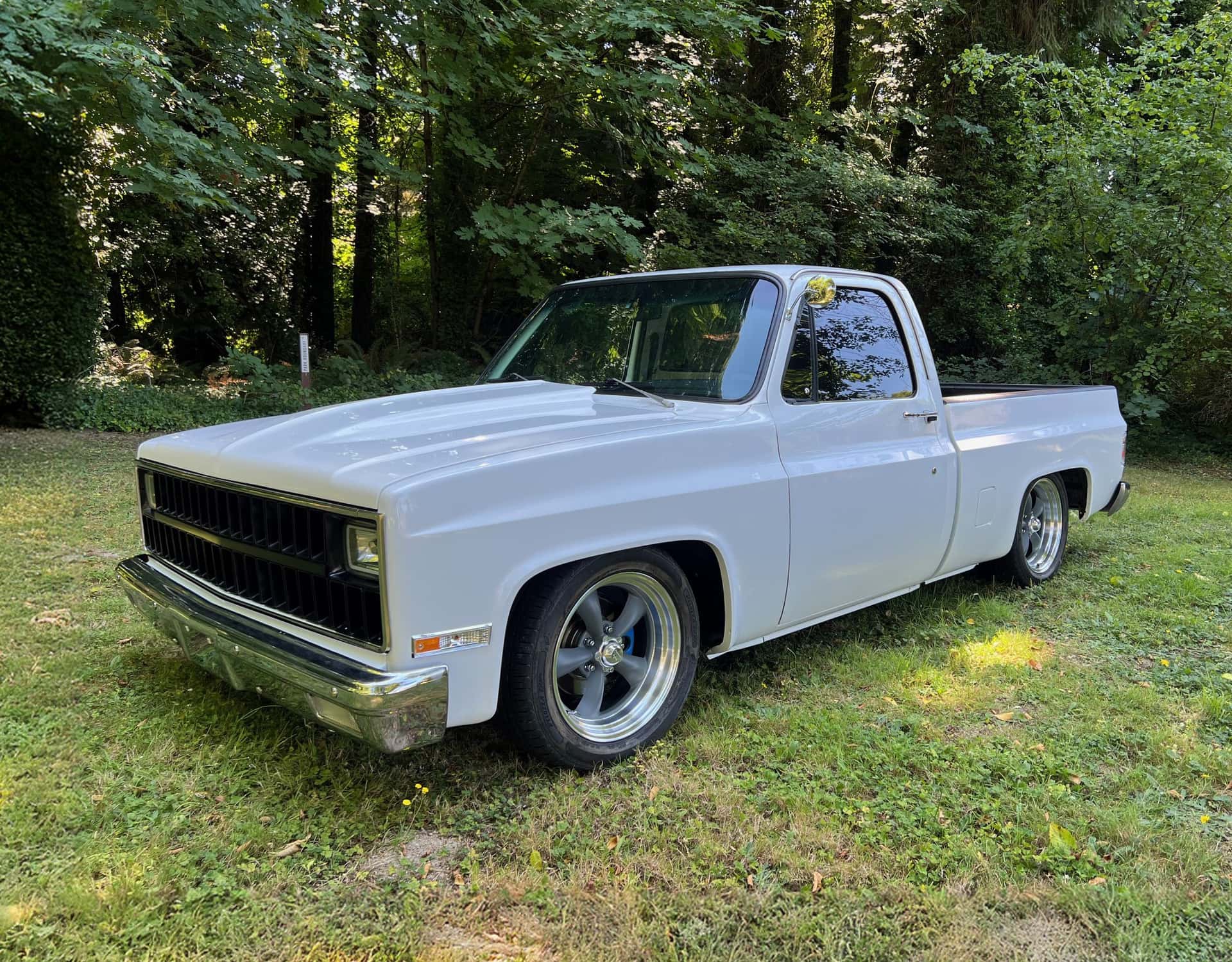 1981 Chevrolet C10 Short Box Pickup sold for $12,850