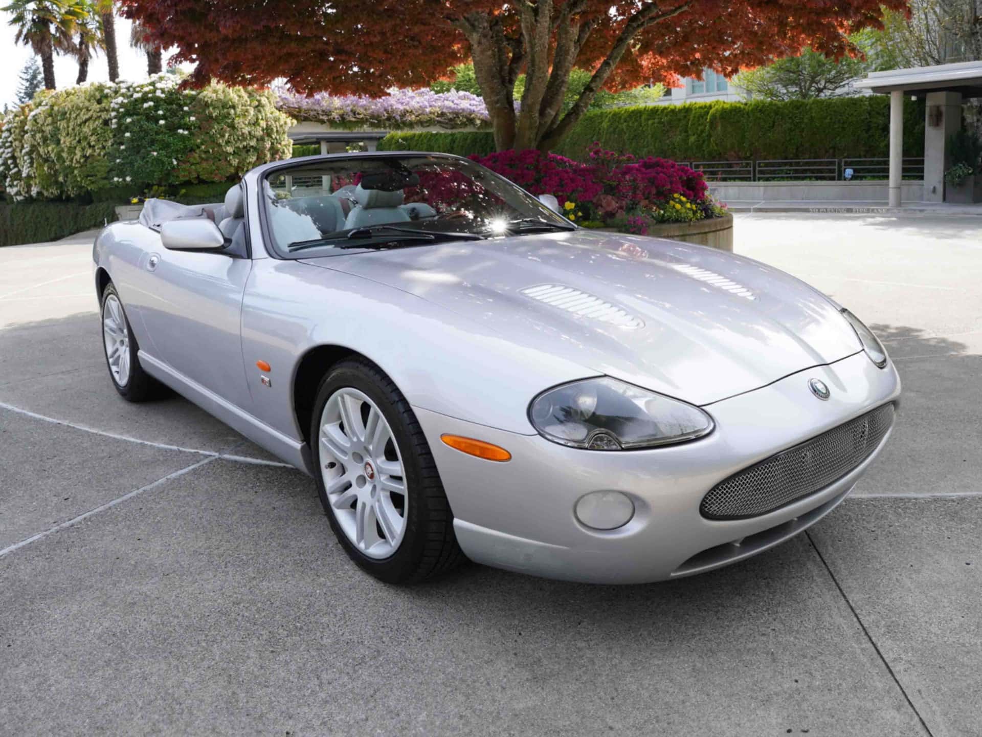 2005 Jaguar XKR sold for $16,000