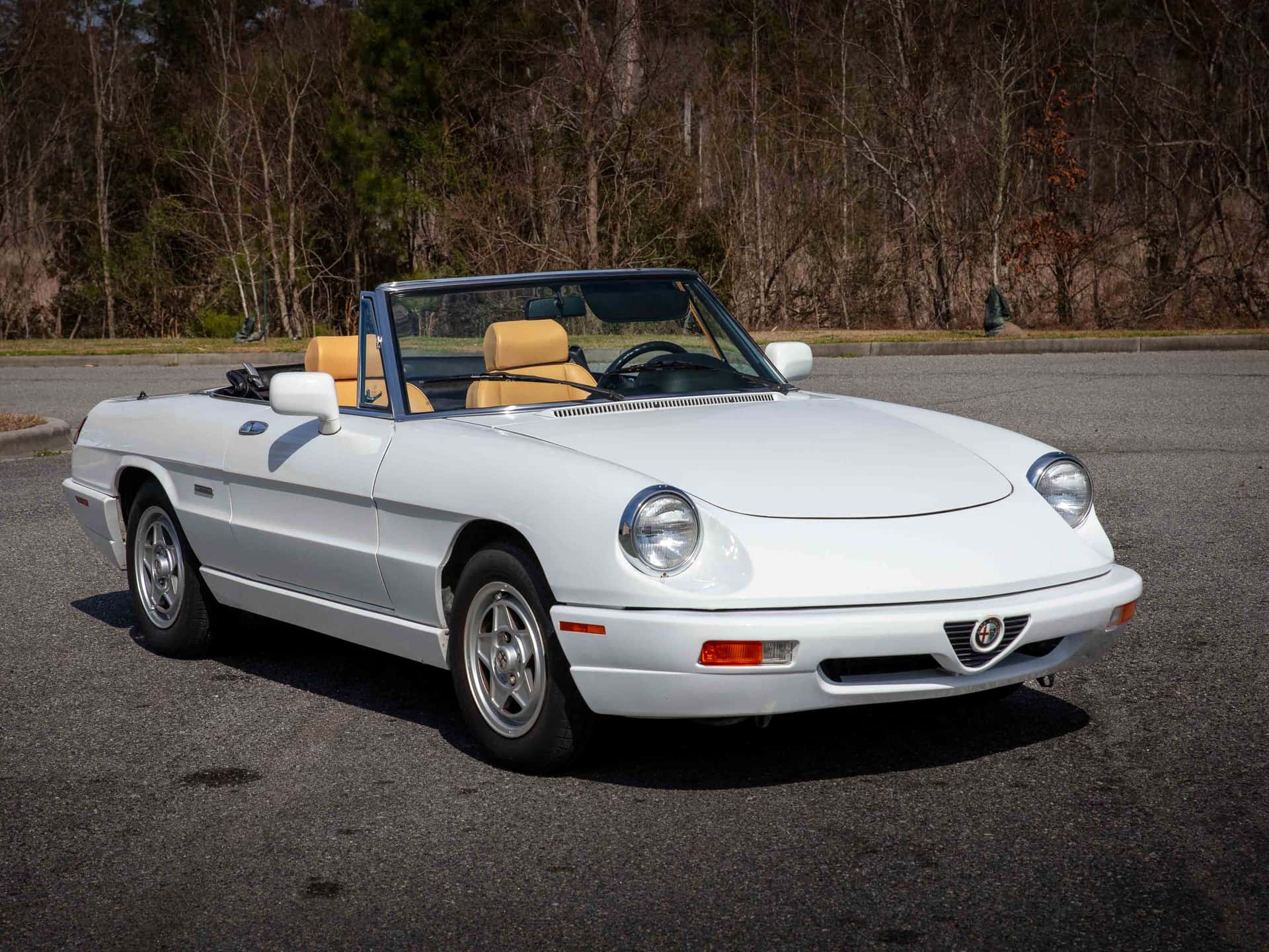 1991 Alfa Romeo Spider sold for $16,750