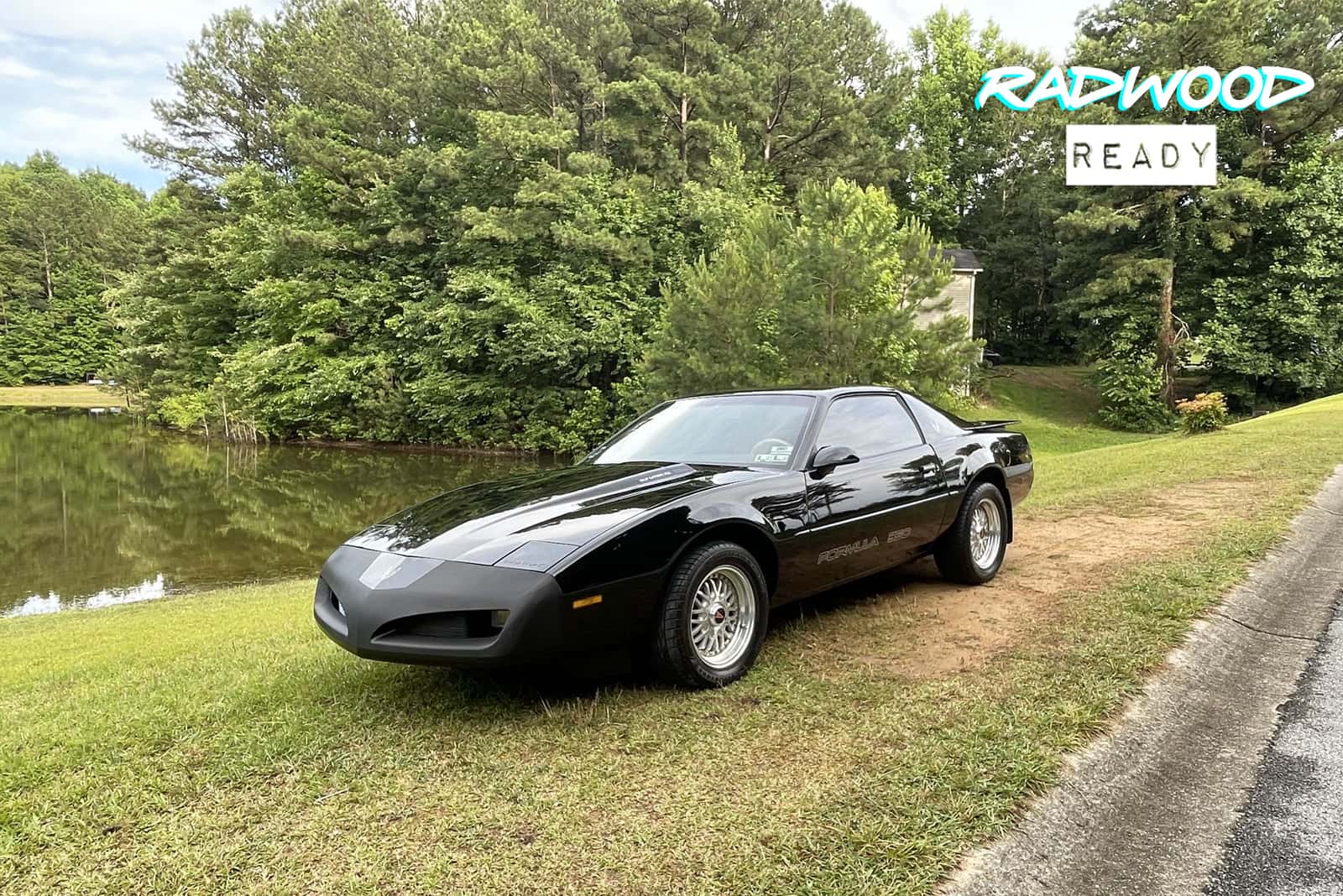 1991 Pontiac Firebird Formula  sold for $9,950