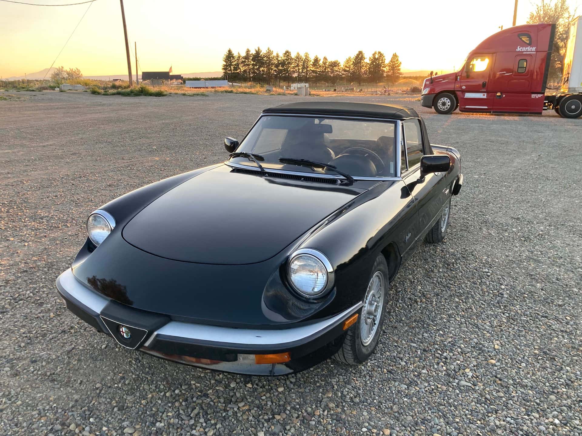 1988 Alfa Romeo Spider sold for $8,500