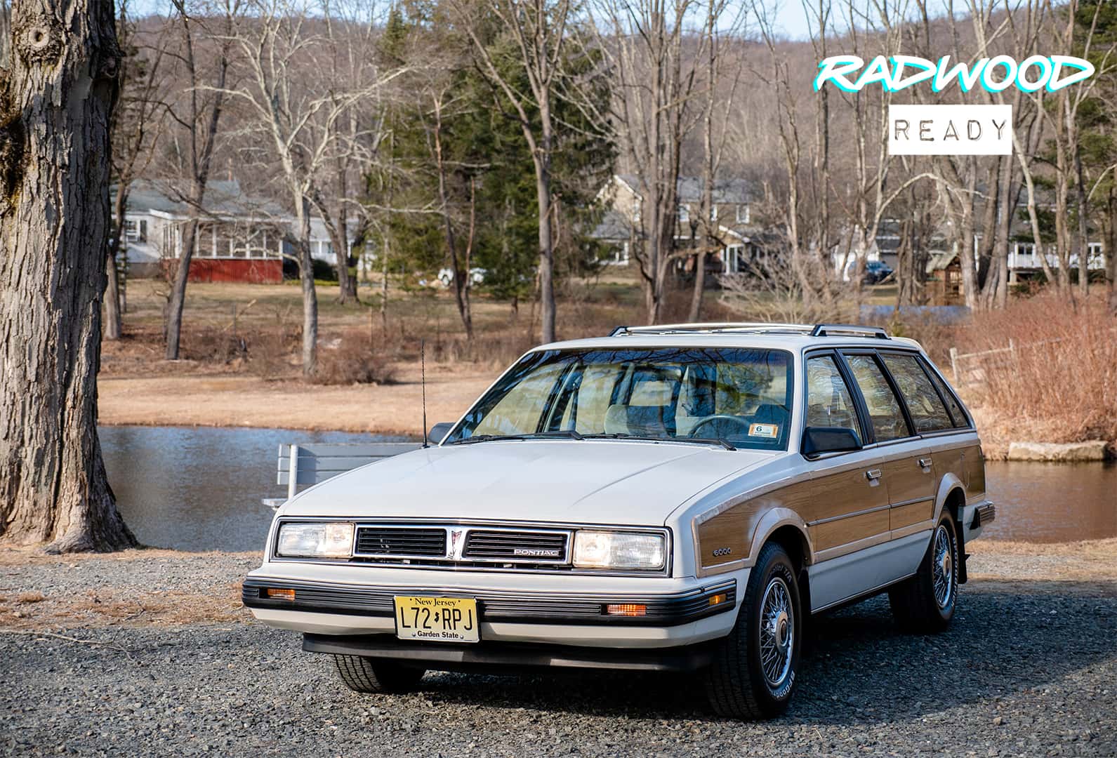 1988 Pontiac 6000 Safari sold for $6,500