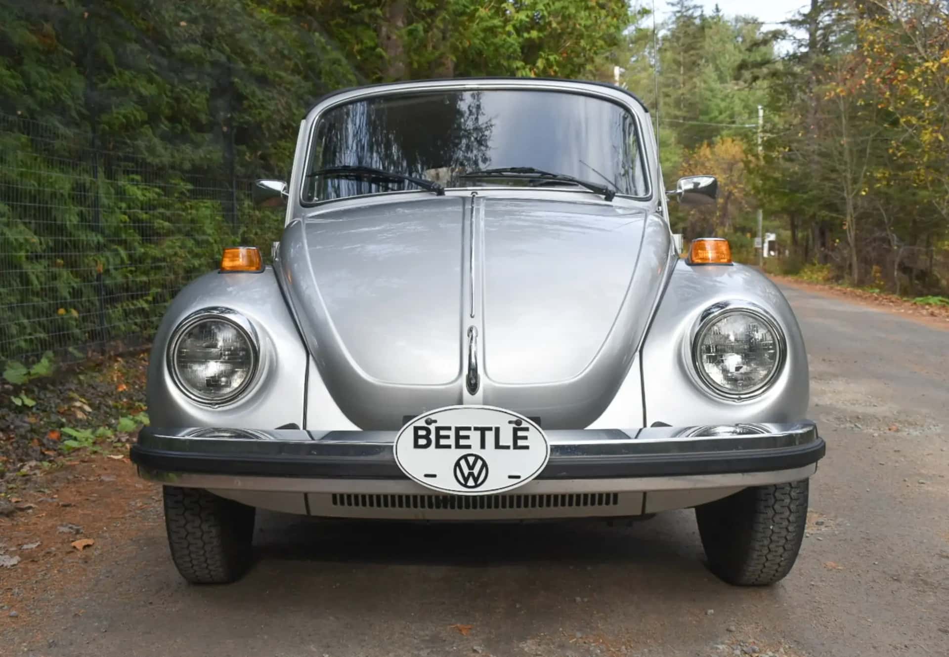 1979 Volkswagen Super Beetle Convertible sold for $30,000