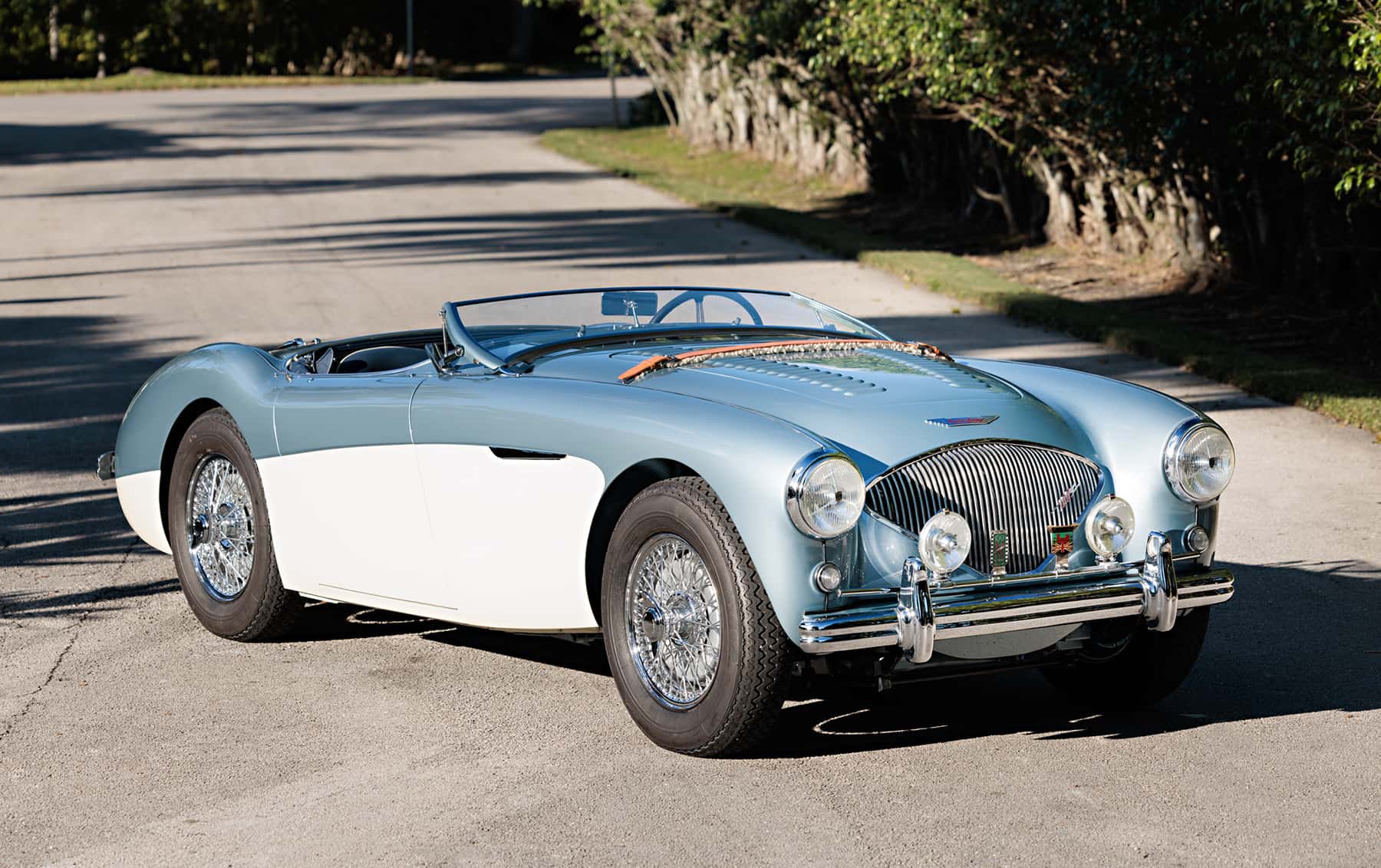 1956 Austin-Healey 100M sold for $196,000