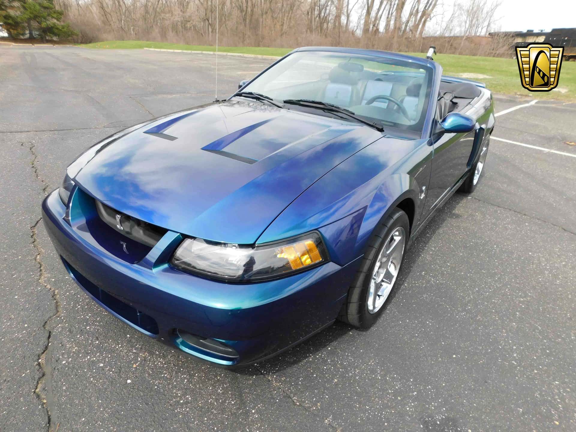 2004 Ford Mustang SVT Cobra Convertible sold for $56,000