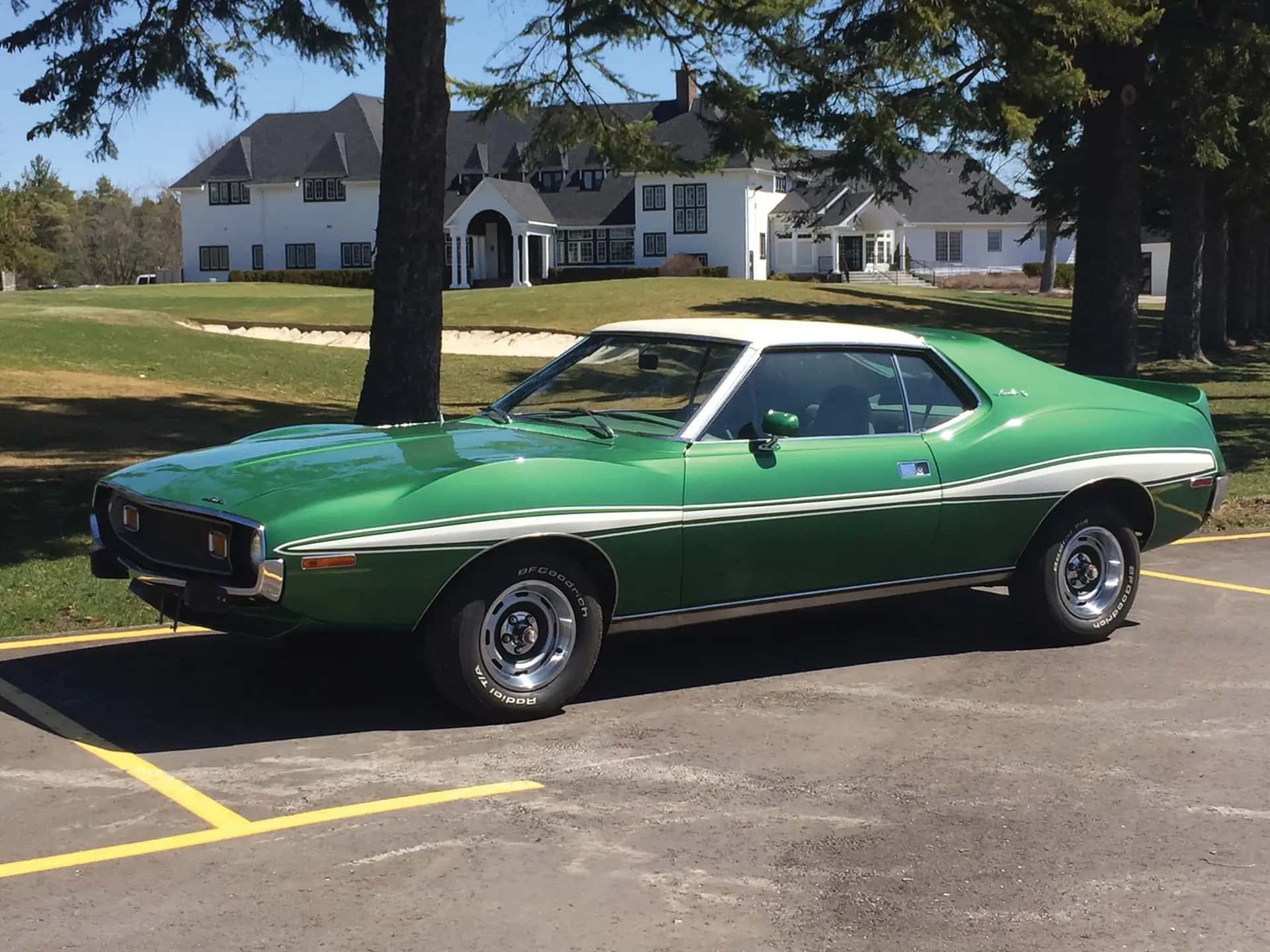 1973 AMC Javelin sold for $0