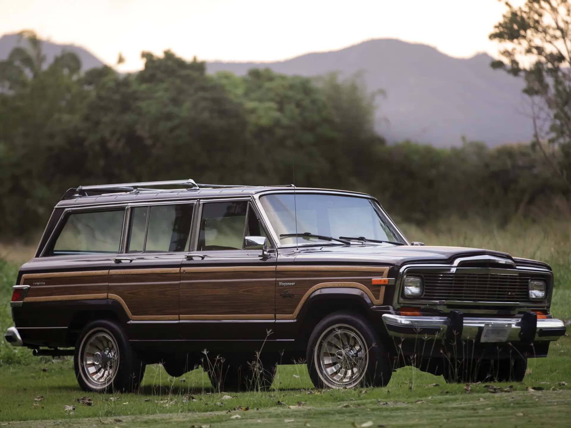 1981 Jeep Wagoneer Limited sold for $18,700
