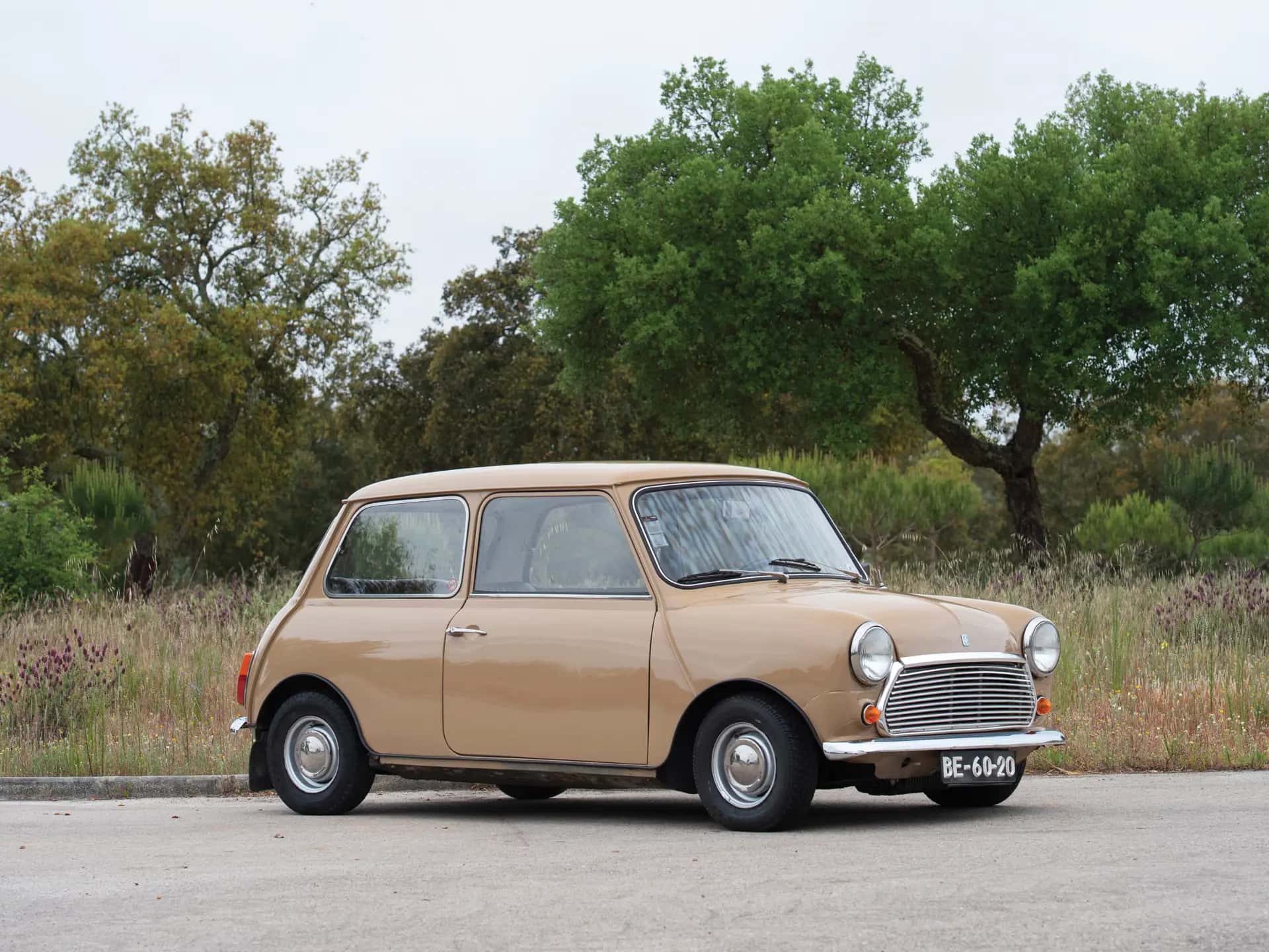 1973 Mini 1000 sold for €4,600