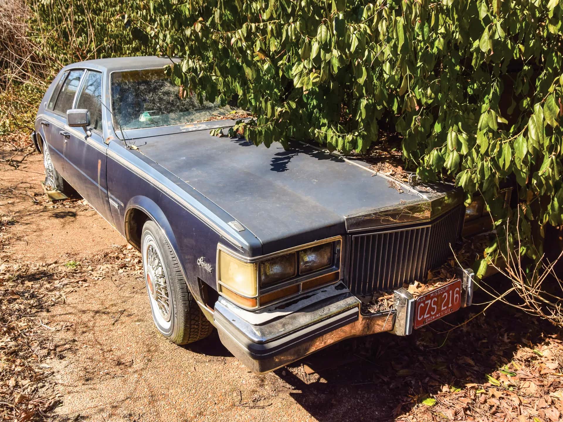 1981 Cadillac Seville sold for $224