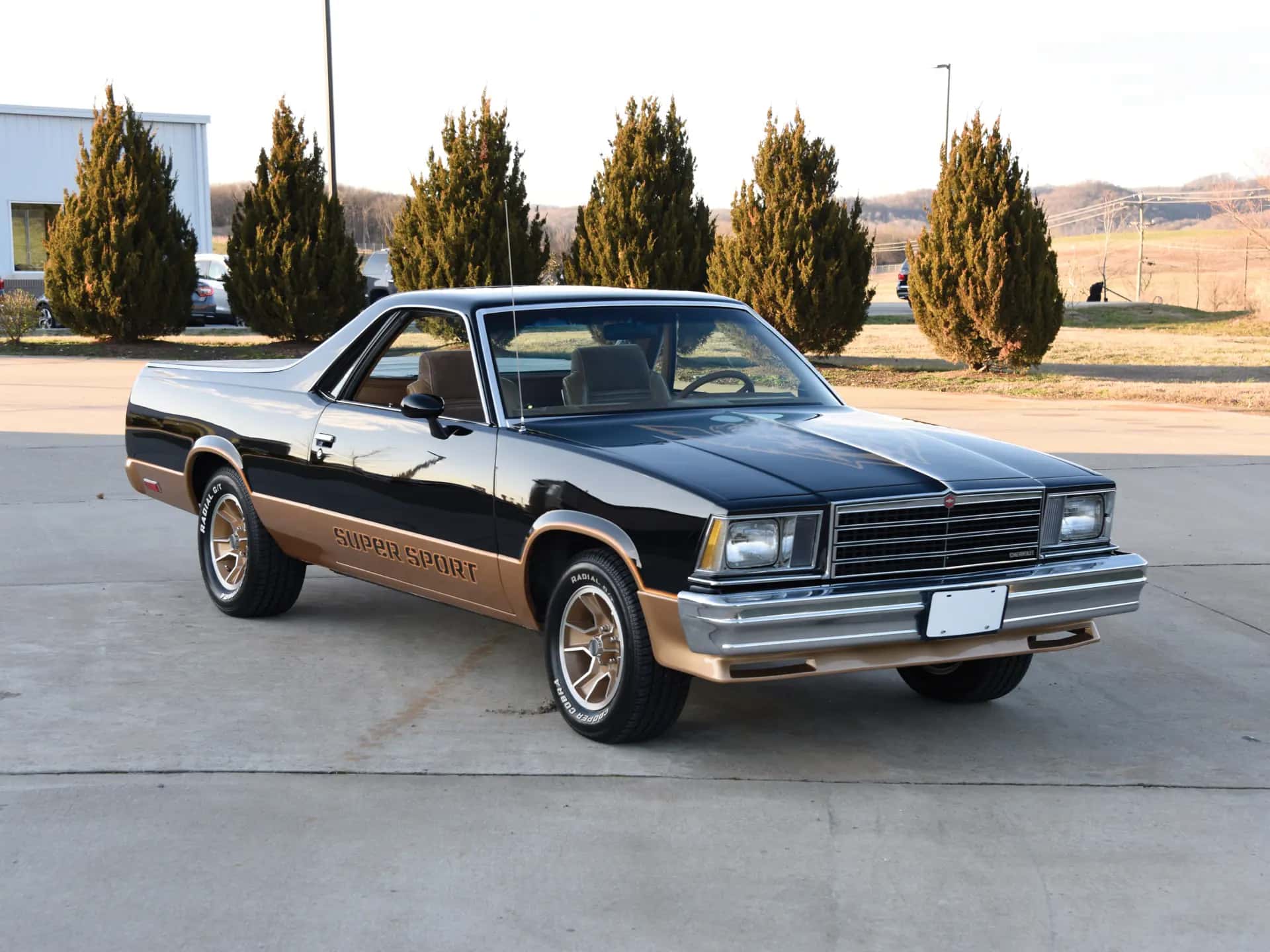 1979 Chevrolet El Camino SS sold for $20,900