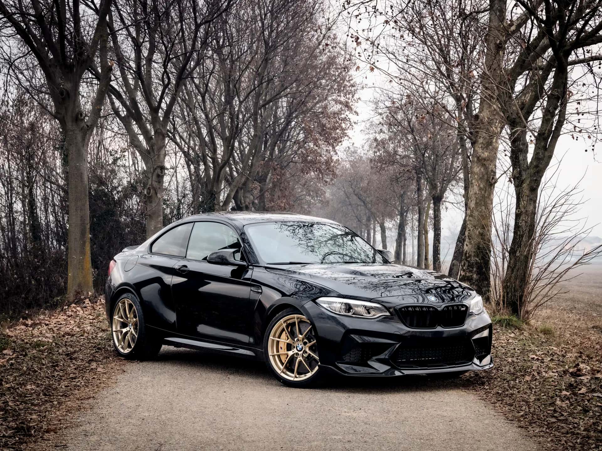 2020 BMW M2 CS sold for €0