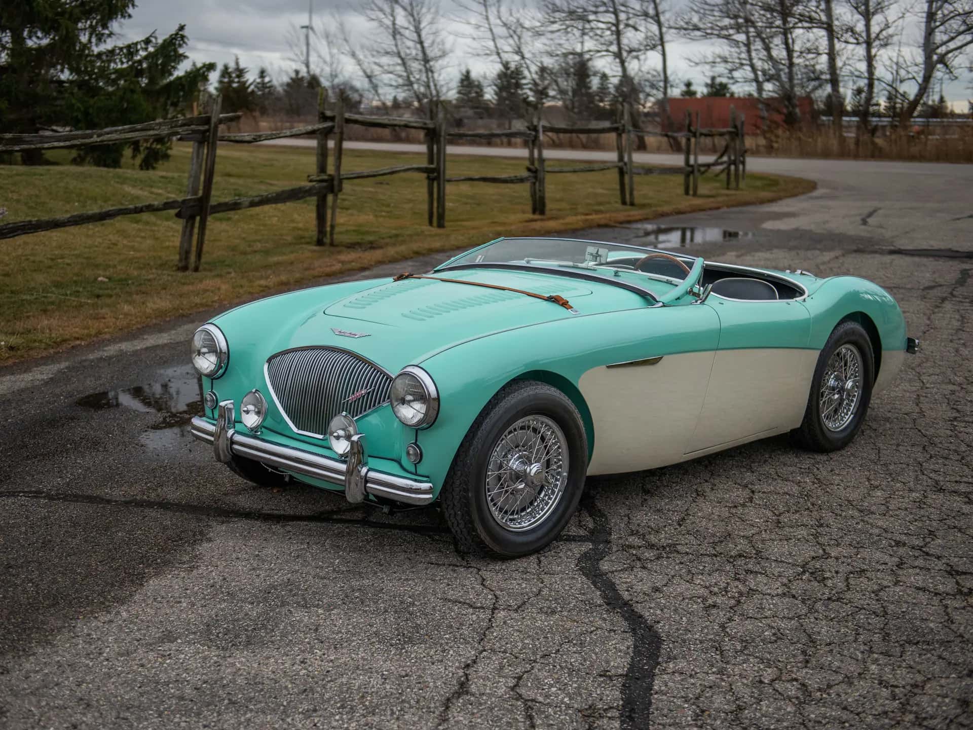 1956 Austin-Healey 100 M 'Le Mans' sold for $184,800