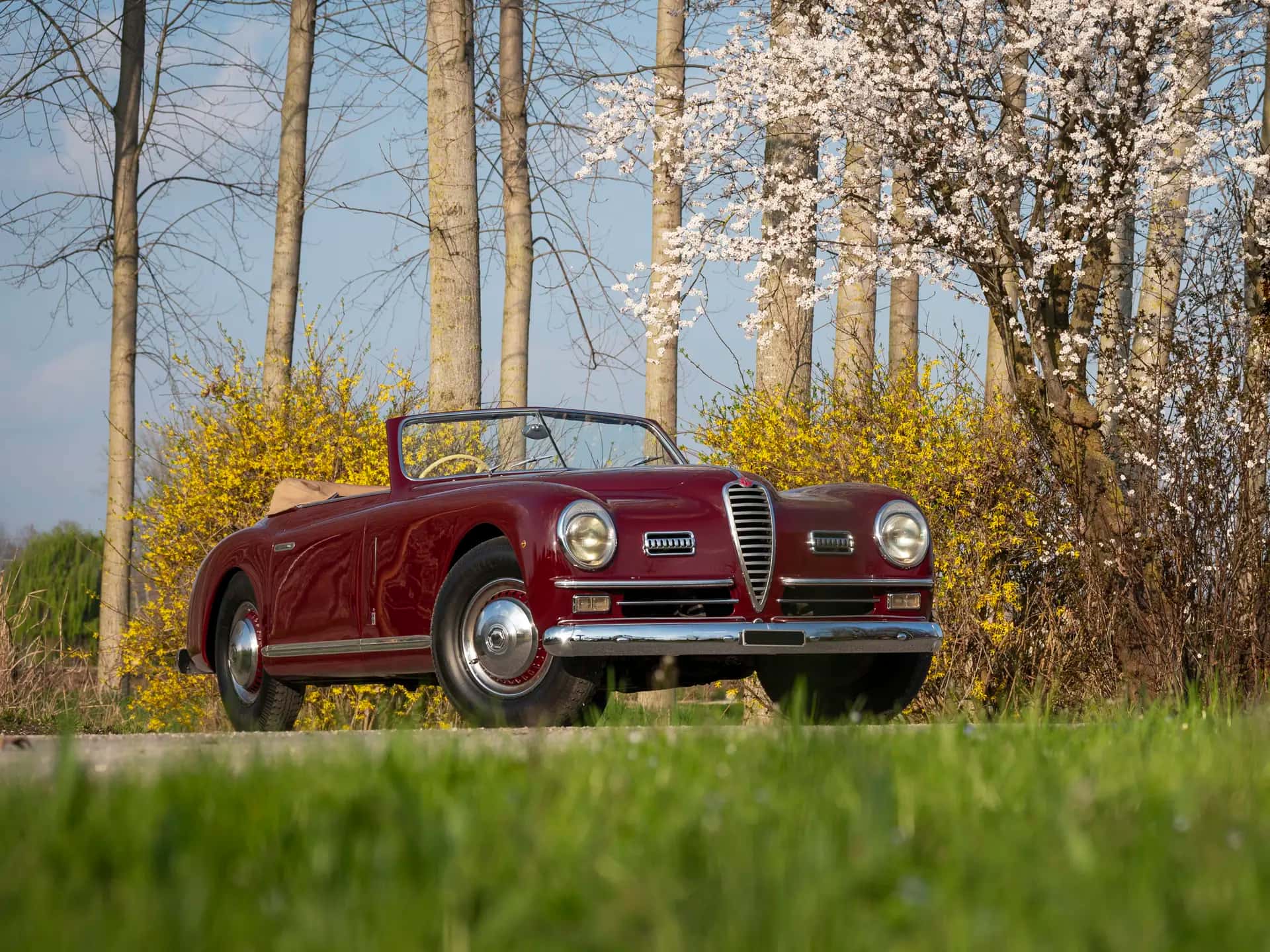 1949 Alfa Romeo 6C 2500 Passo Corto Super Sport Cabriolet sold for €0