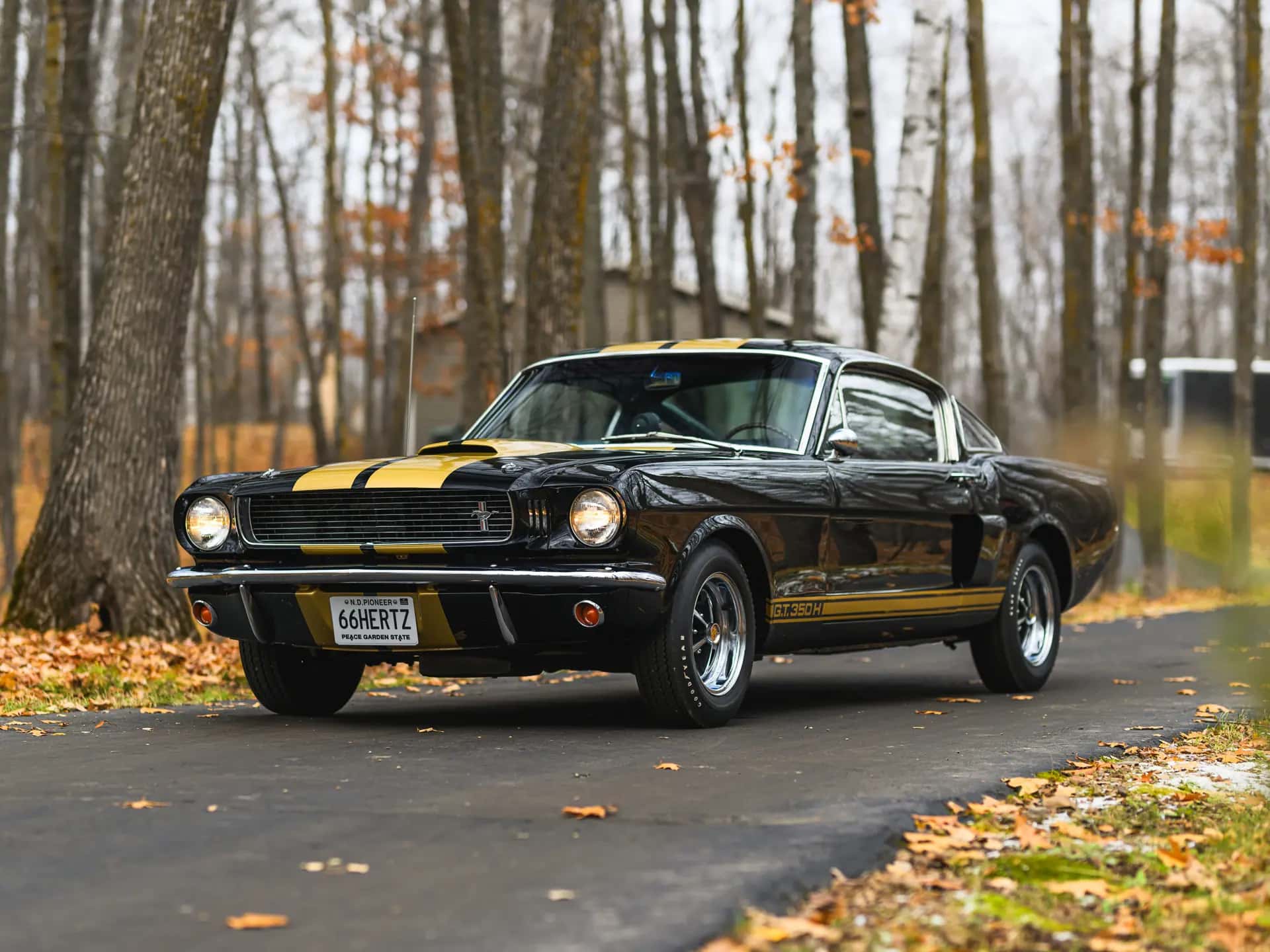 1966 Shelby GT350 H sold for $170,800