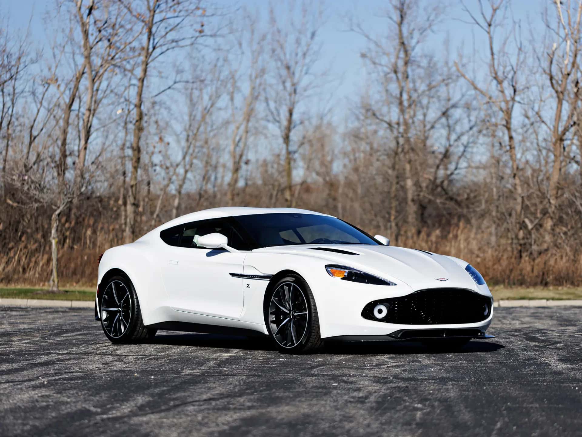 2018 Aston Martin Vanquish Zagato Coupe sold for $0