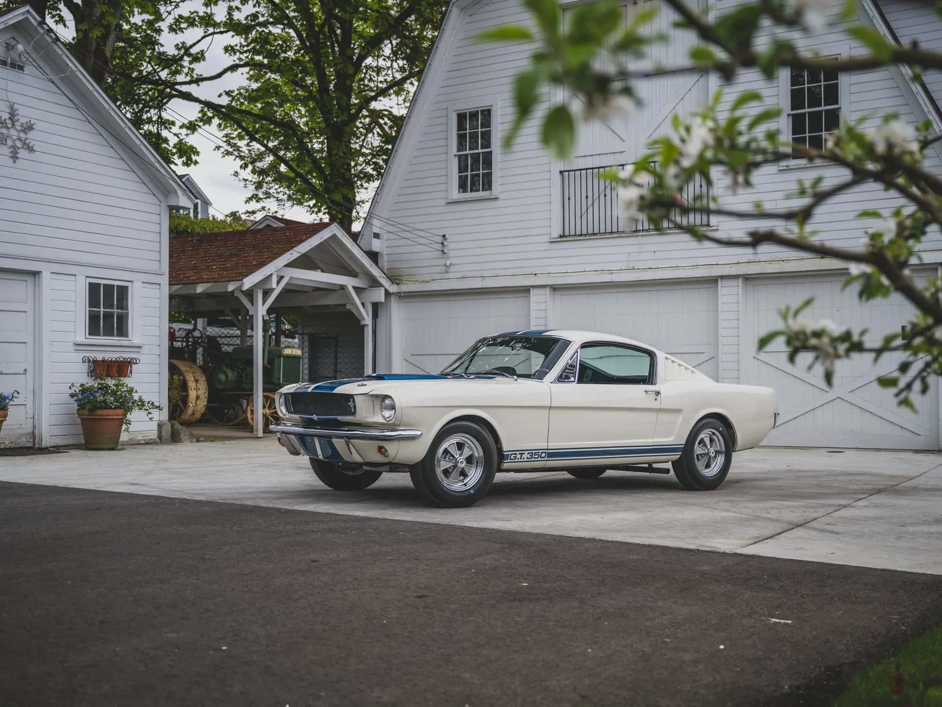 1965 Shelby GT350 sold for $500,000