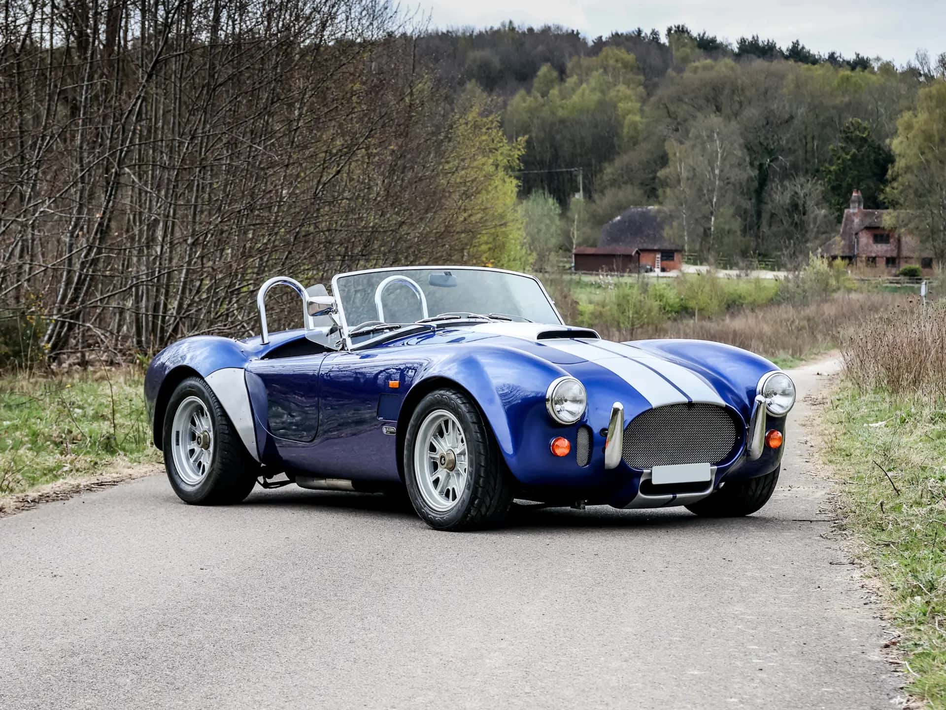 2001 AC Cobra Mk IV ‘Carbon Road Series’ sold for £0