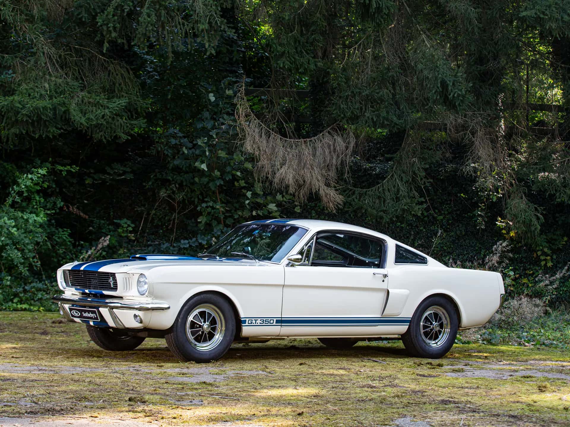 1966 Shelby GT350 sold for €126,500