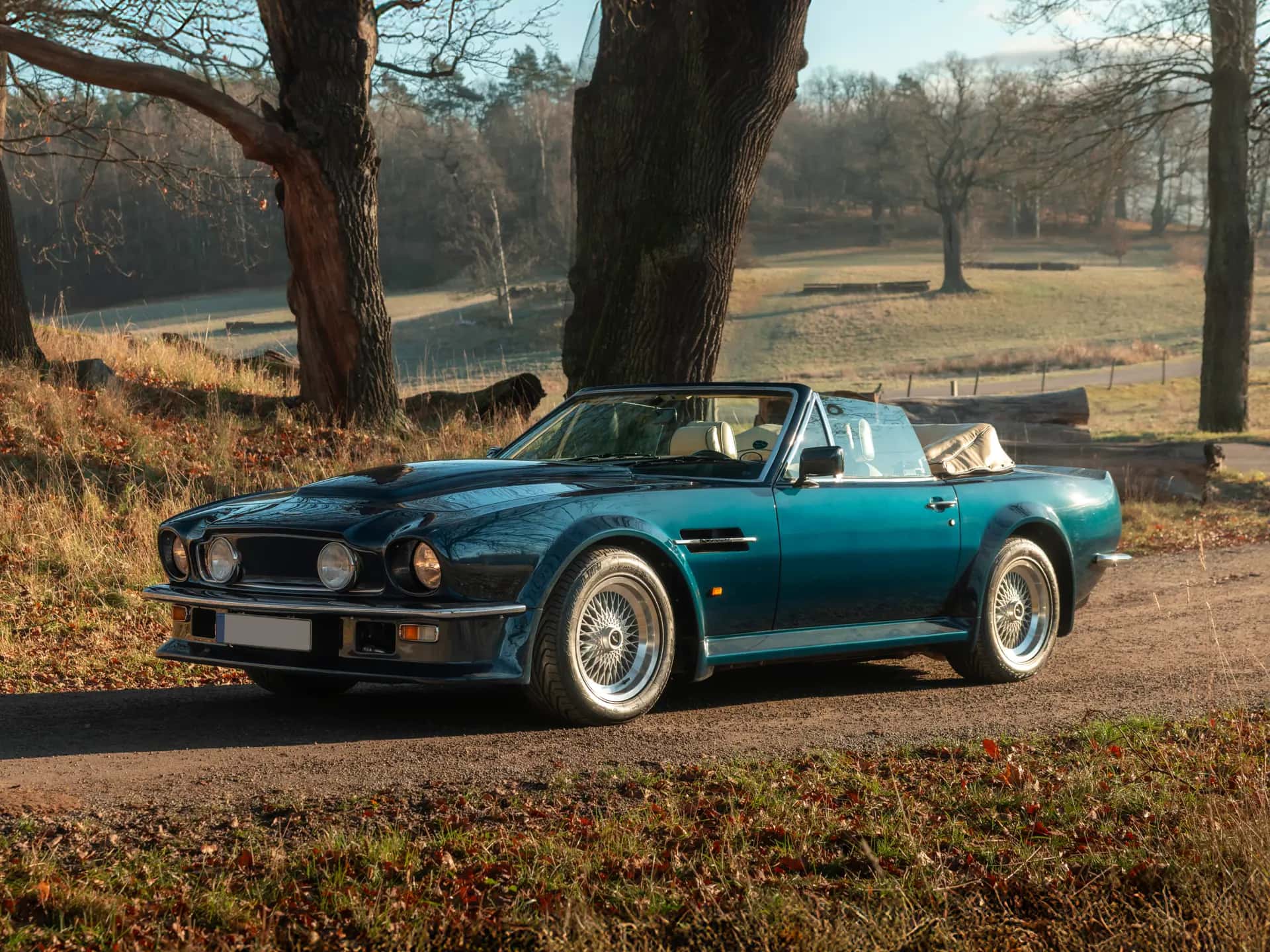 1989 Aston Martin V8 Vantage Volante 'X-Pack' sold for €331,250