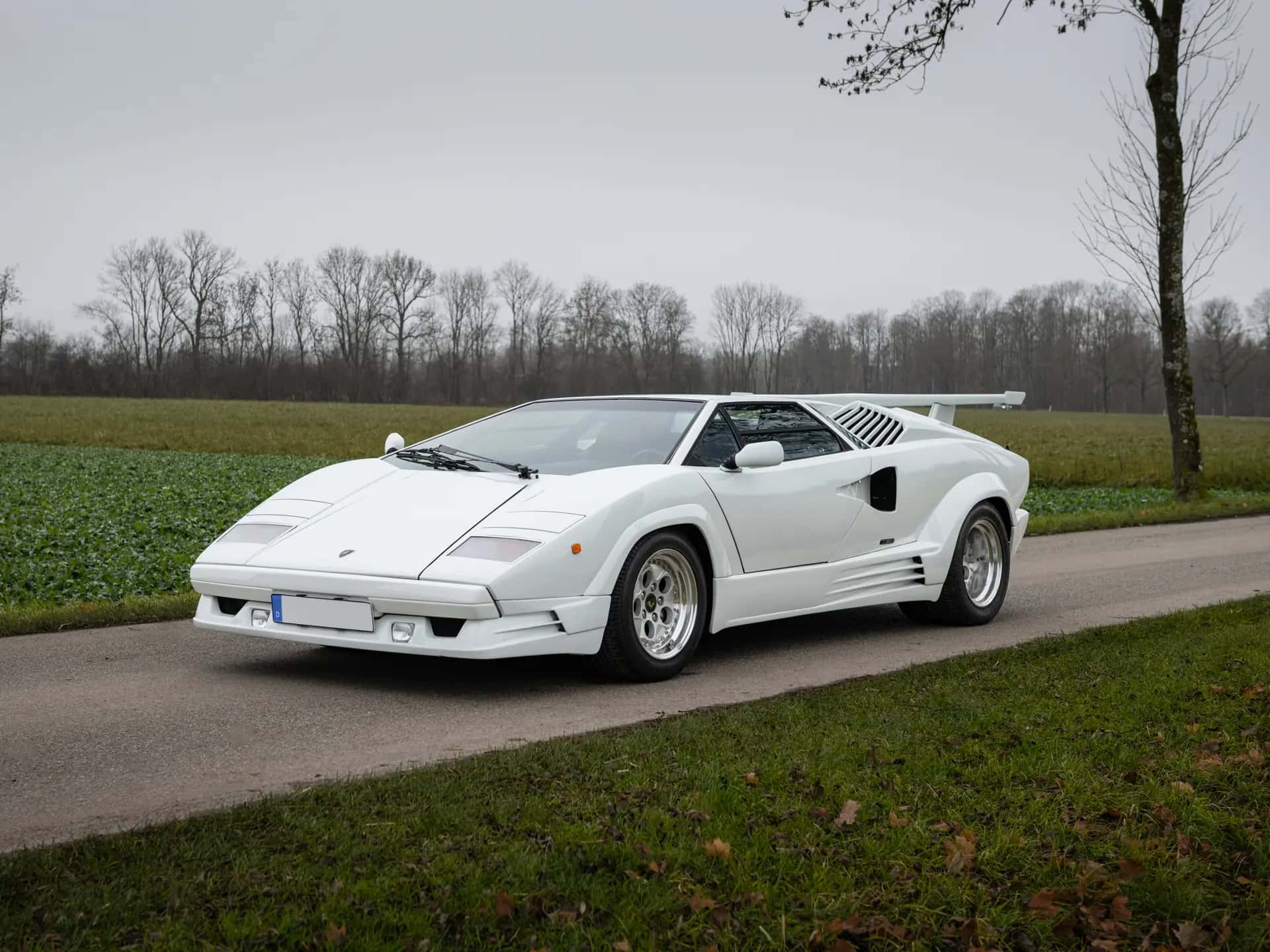 1989 Lamborghini Countach 25th Anniversary Edition sold for €567,500