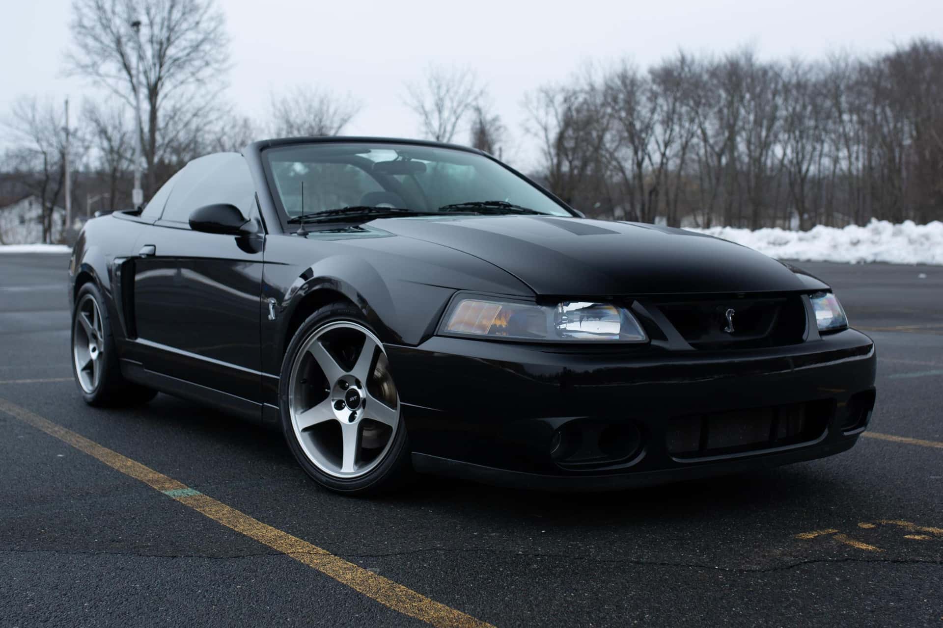 2003 Ford Mustang sold for $28,500