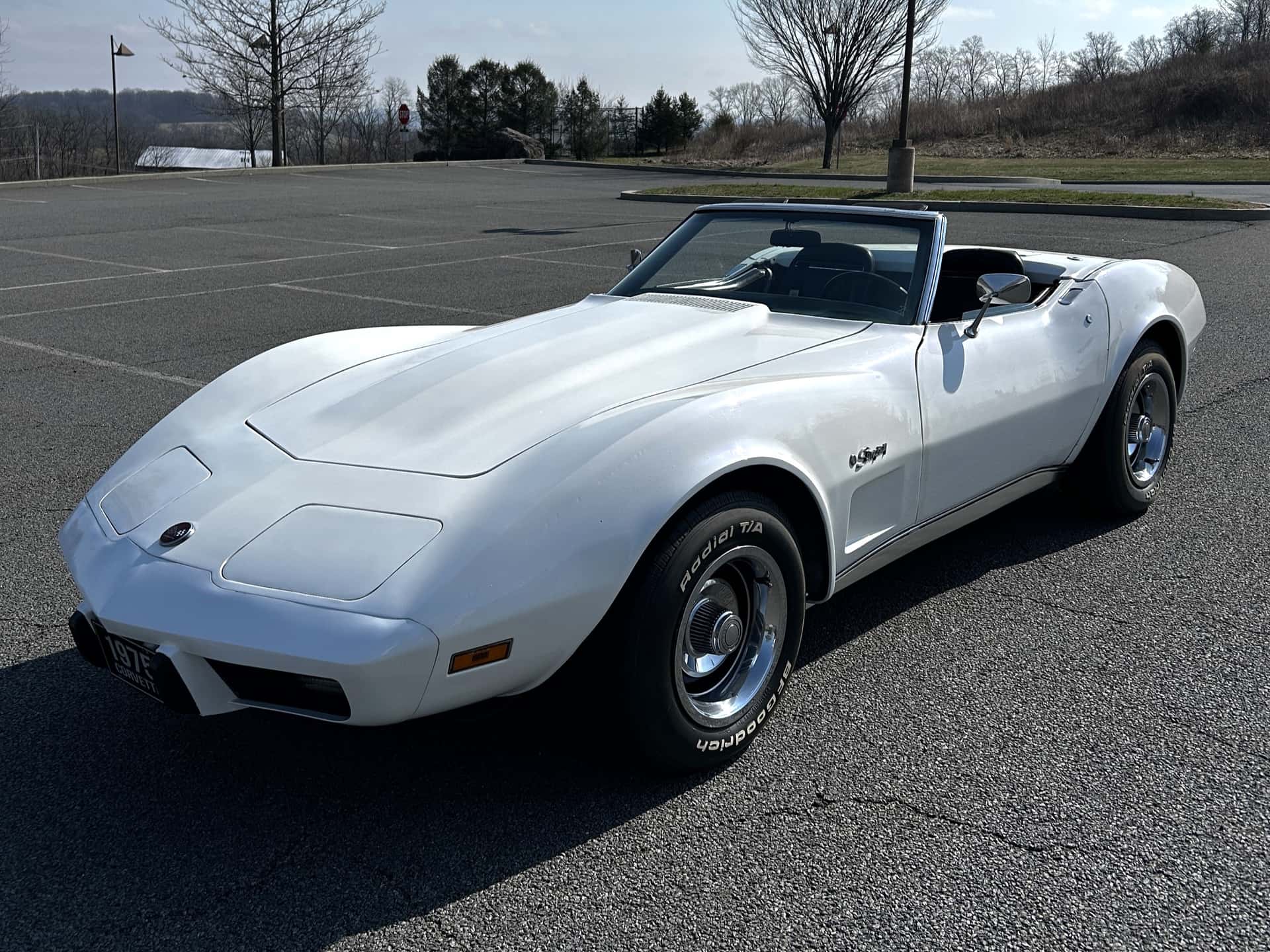1975 Chevrolet Corvette Convertible sold for $14,567