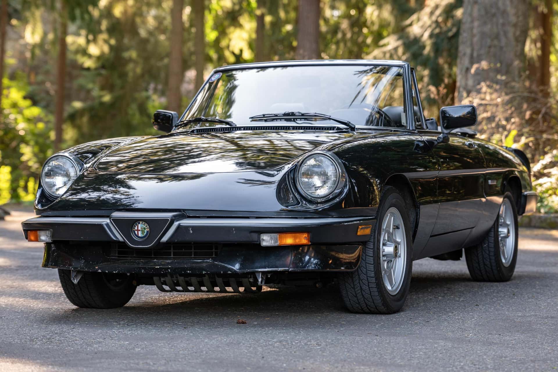 1990 Alfa Romeo Spider sold for $10,199