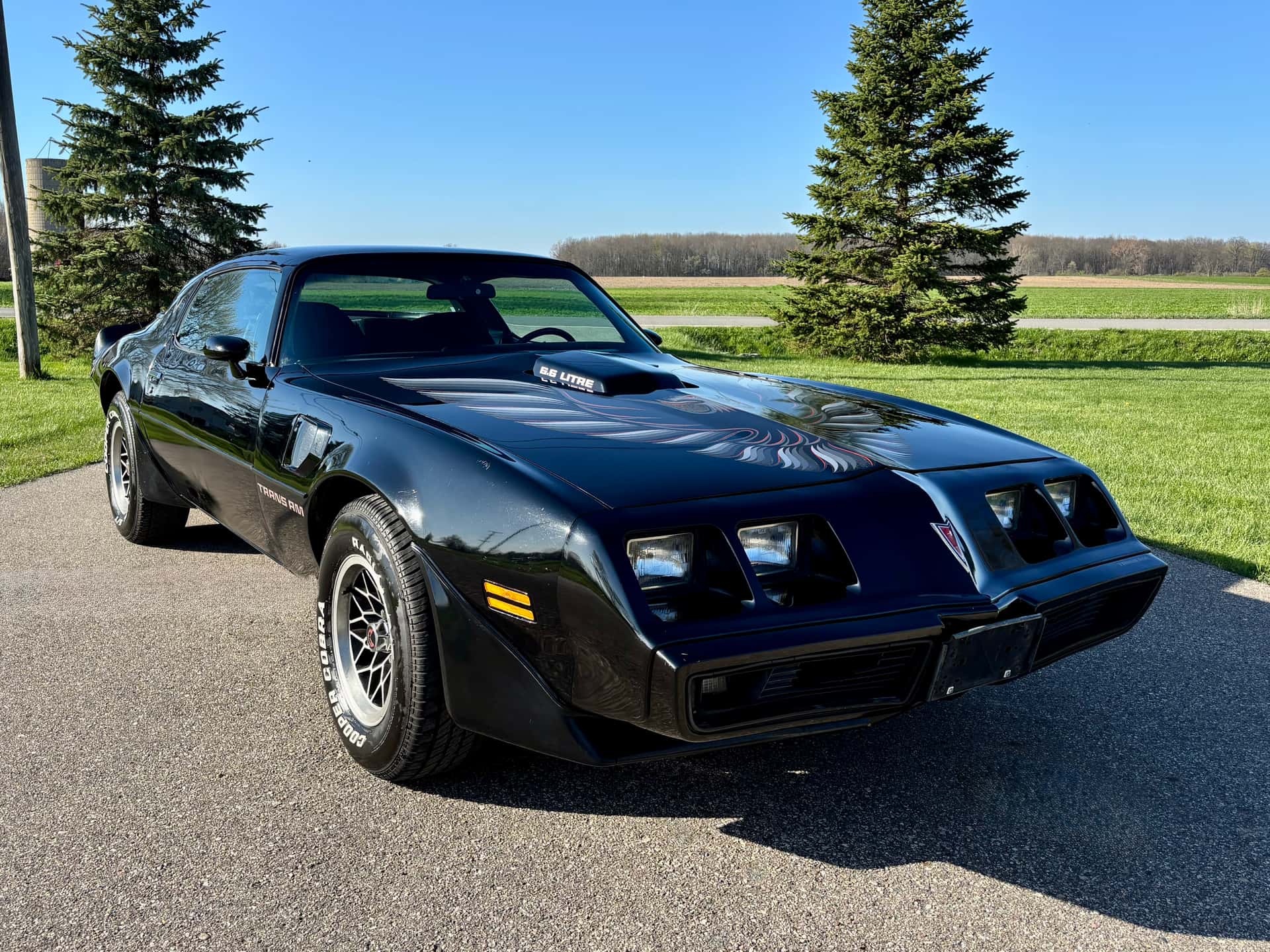1979 Pontiac Firebird sold for $22,000