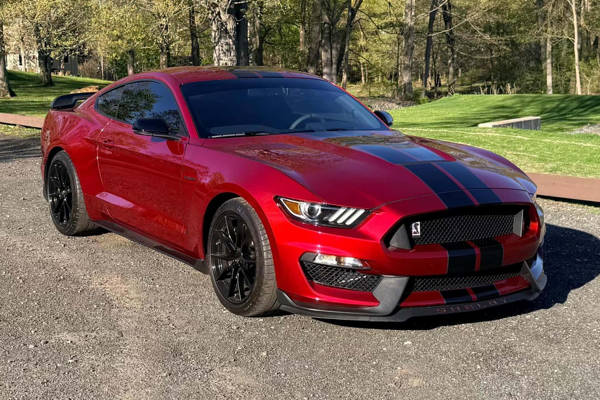 2019 Ford Mustang sold for $62,000