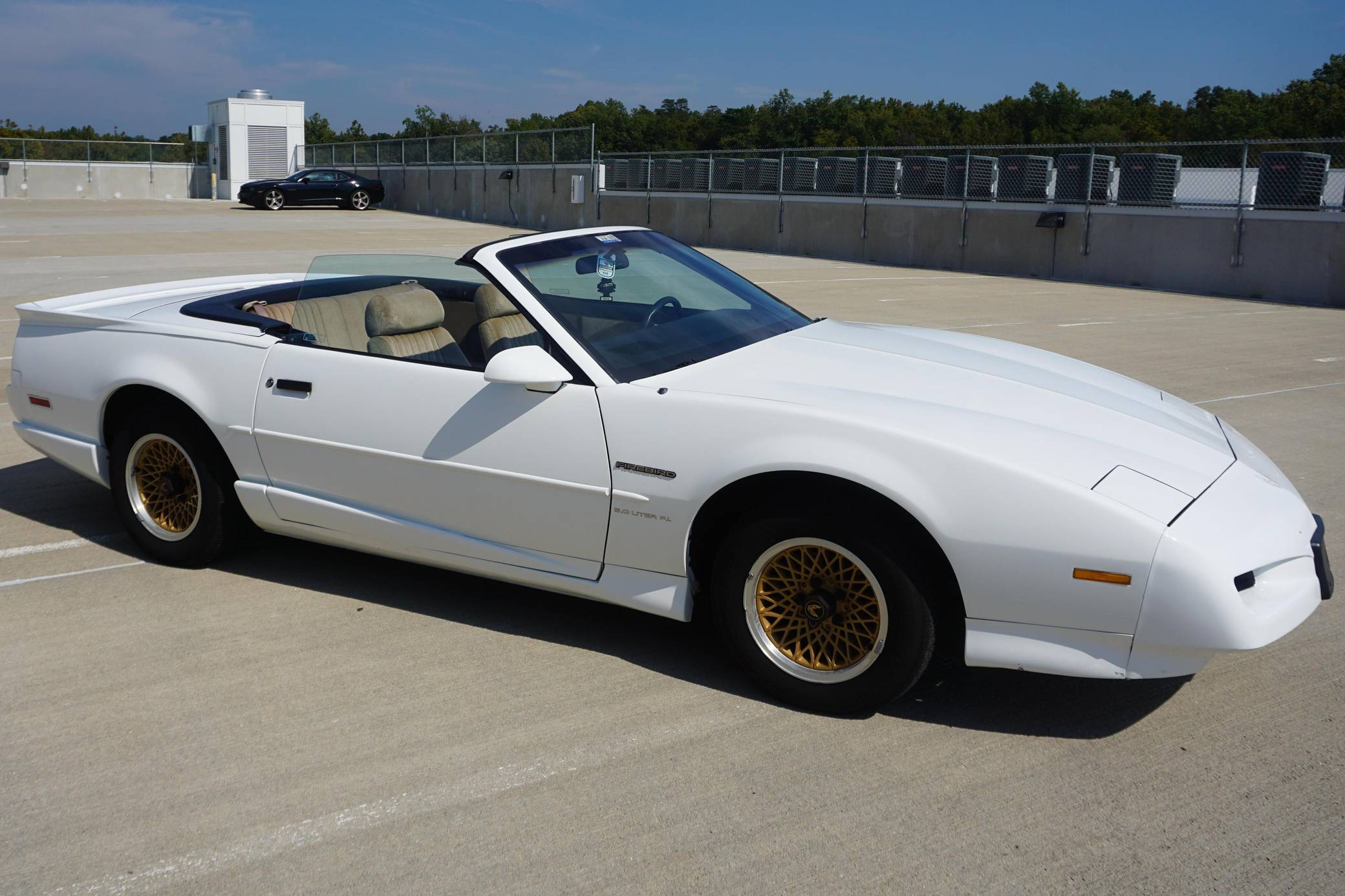 1992 Pontiac Firebird sold for $4,900