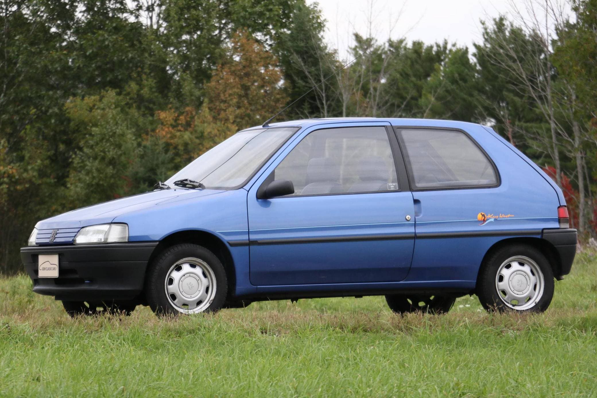 1993 Peugeot 106 sold for $6,120
